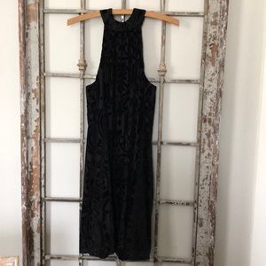 Beautiful Francesca’s Cocktail Dress